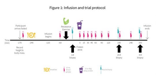 infographic on protein infusion trial